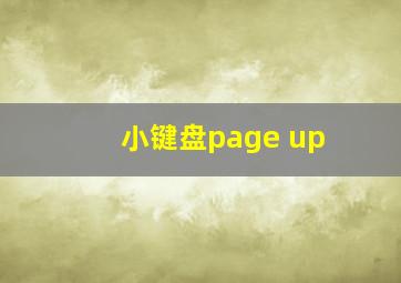 小键盘page up